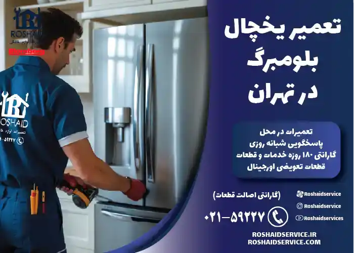 تعمیر یخچال بلومبرگ در تهران